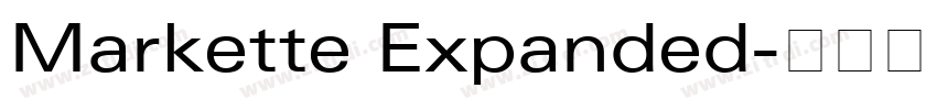 Markette Expanded字体转换